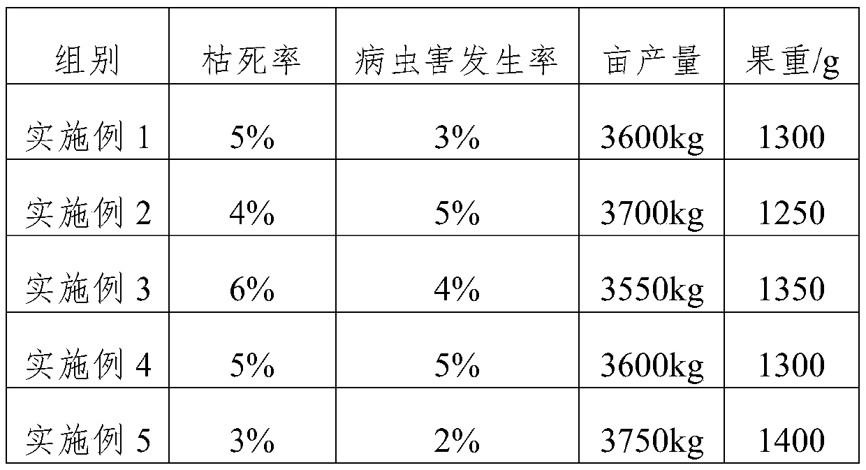 Special loquat multi-effect fertilizer for rocky desertification mountain land and preparation method thereof