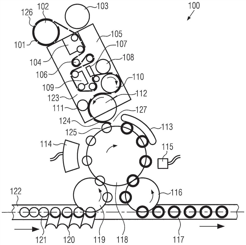 Processing of contoured wrap-around labels from rolls