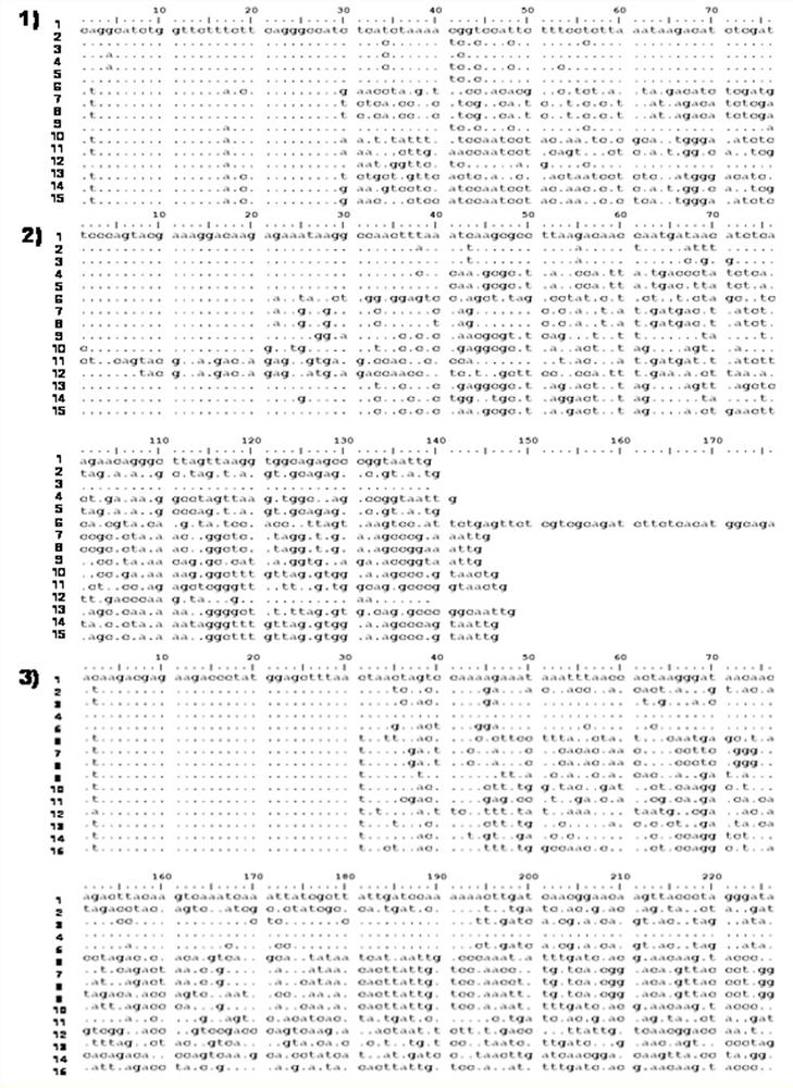 PCR (Polymerase Chain Reaction) high-resolution melting detection kit for 15 animal-derived components and detection method