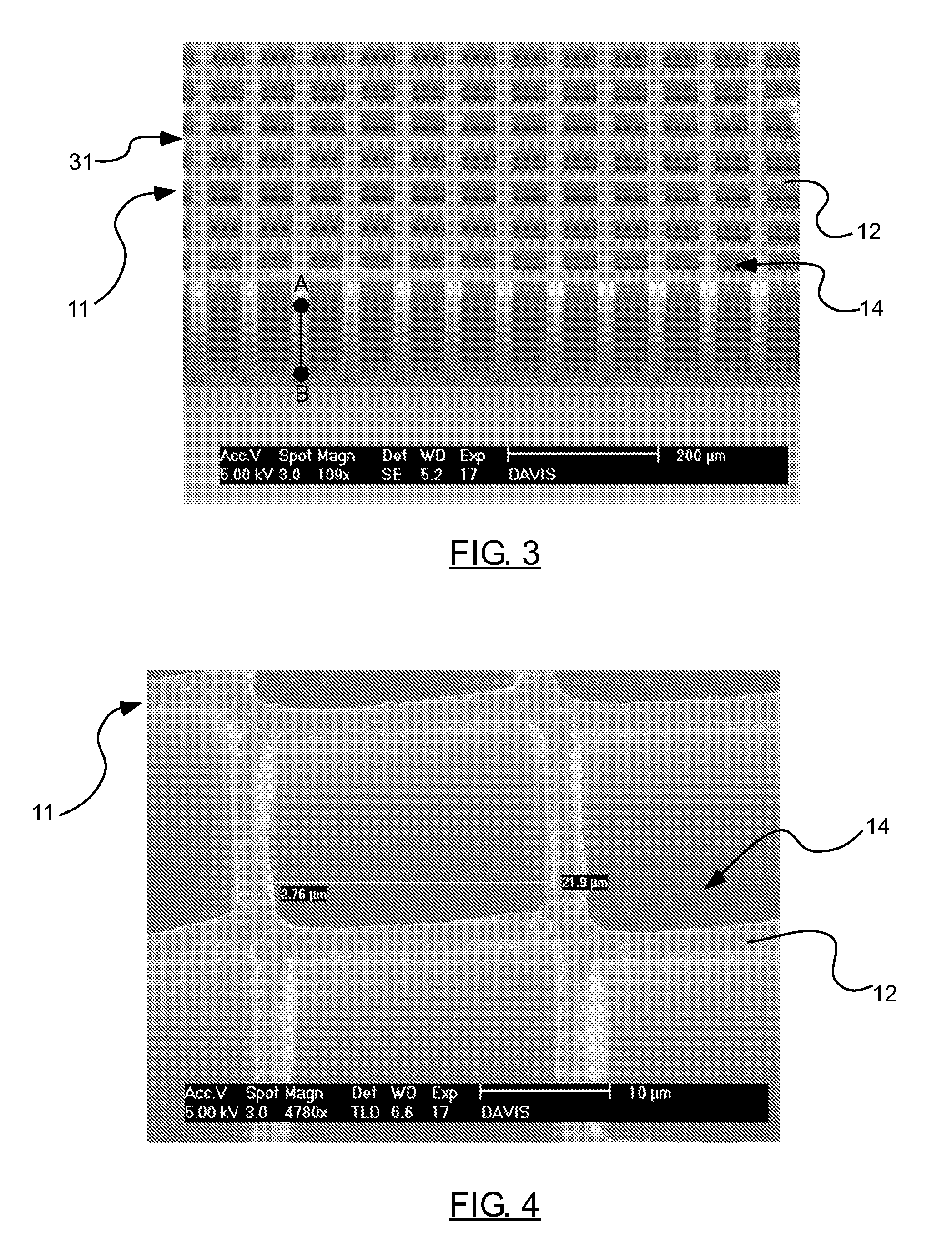 X-ray radiation window with carbon nanotube frame