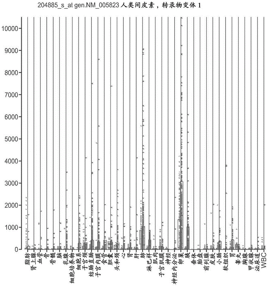 Anti-mesothelin antibodies and immunoconjugates