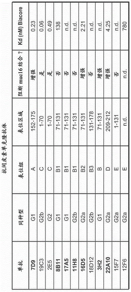 Anti-mesothelin antibodies and immunoconjugates