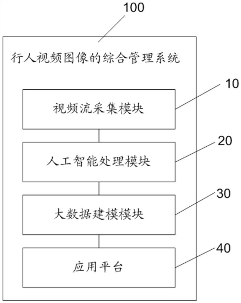 Comprehensive management system and method for pedestrian video images