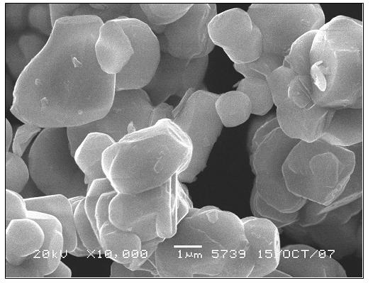 Preparation method of cobalt oxide powder