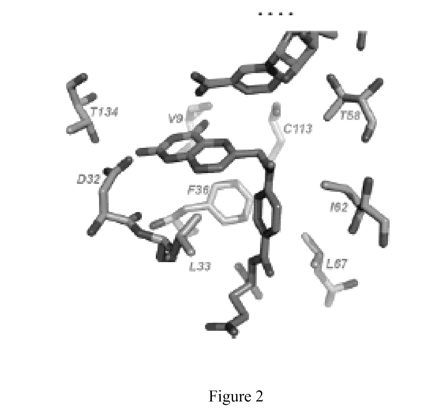 Inhibitors of Dihydrofolate Reductase With Antibacterial Antiprotozoal, Antifungal and Anticancer Properties