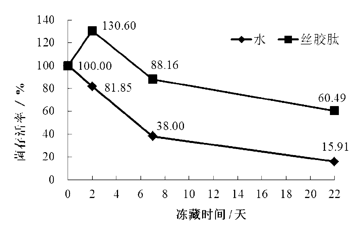 Application of sericin peptide in freeze drying or refrigeration preserving probiotics