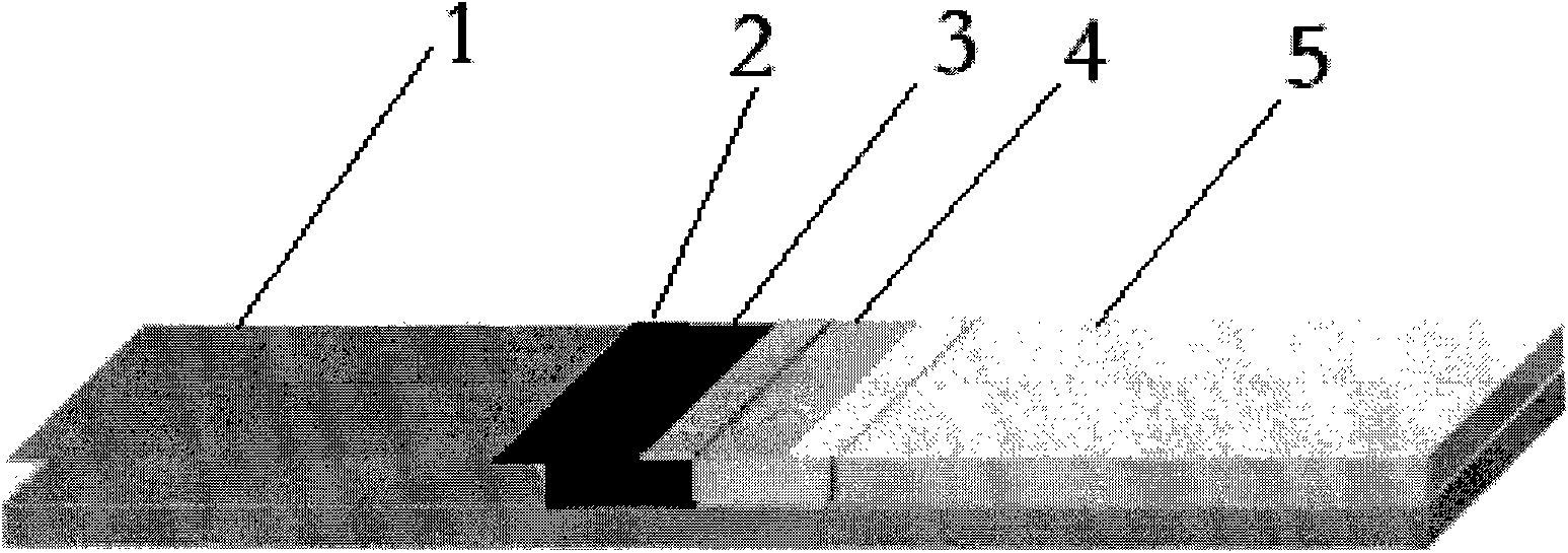 Method for fast testing human ABO/Rh/MN blood type and kit