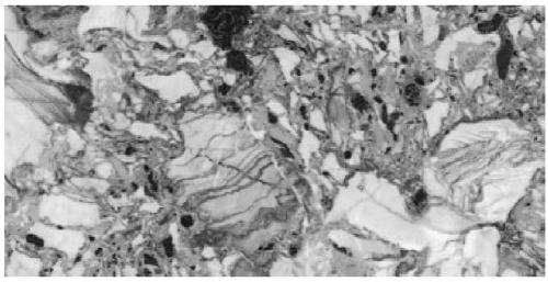 Stereo-positioning effect dry granule complete-polished ceramic brick and preparation method thereof