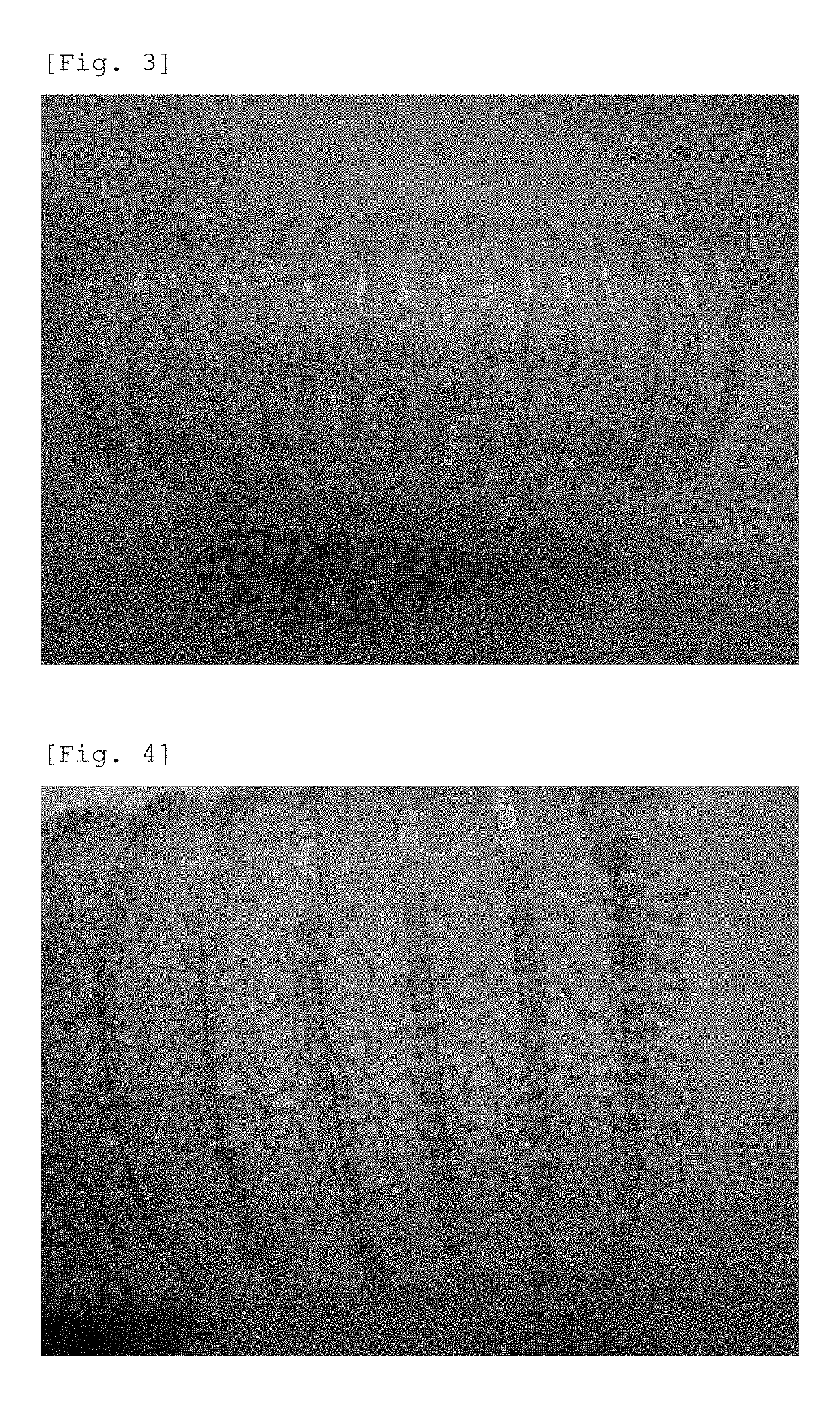 Artificial Trachea and Method for Producing the Same