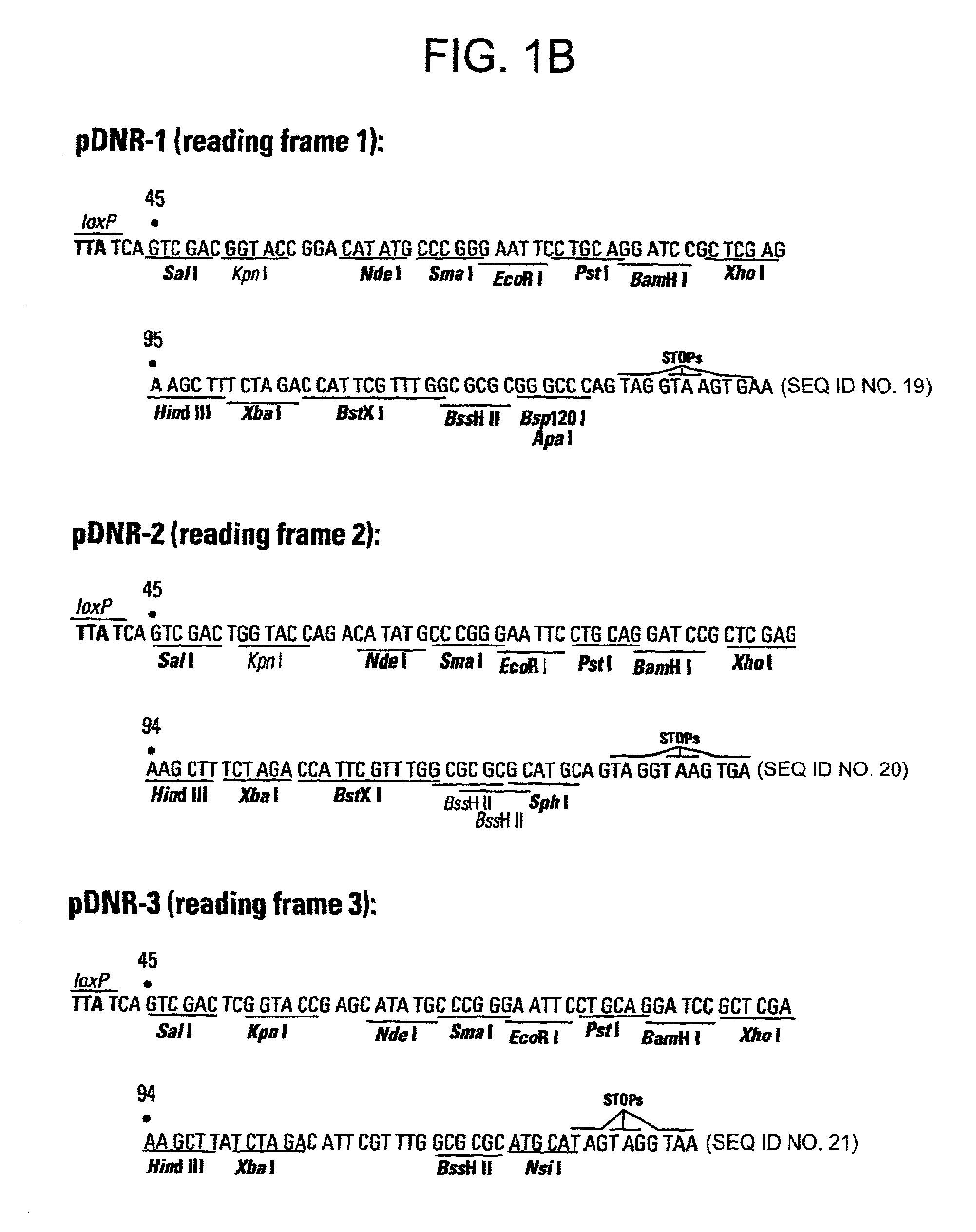 Recombinase-based methods for producing expression vectors and compositions for use in practicing the same