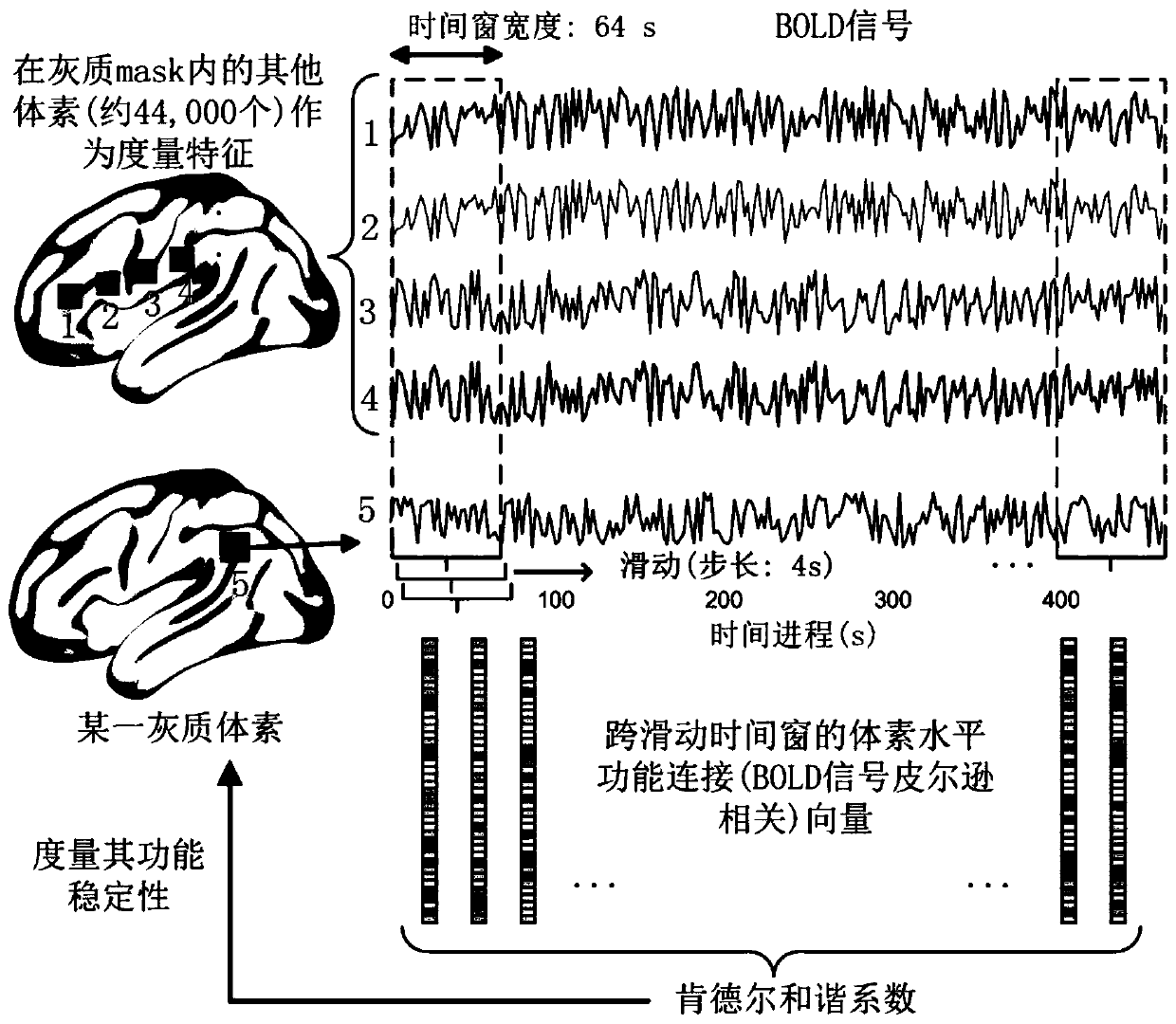 Stability calculation method for brain dynamic function mode