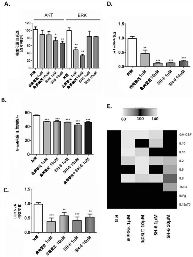 Compositions comprising intermediate non-coding RNA regulators modulating the expression of etv6 or foxo1 and uses thereof