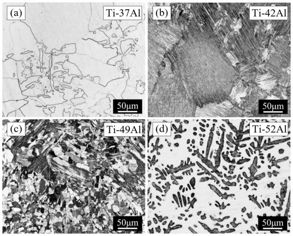 Method for preparing titanium-aluminum intermetallic compound based on electron beam twin-wire fuse in-situ additive