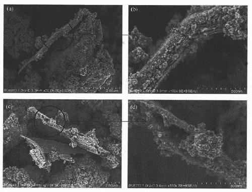 Preparation of ionic liquid modified magnetic graphene oxide composite material and method for removing As(III) and As(V) in water