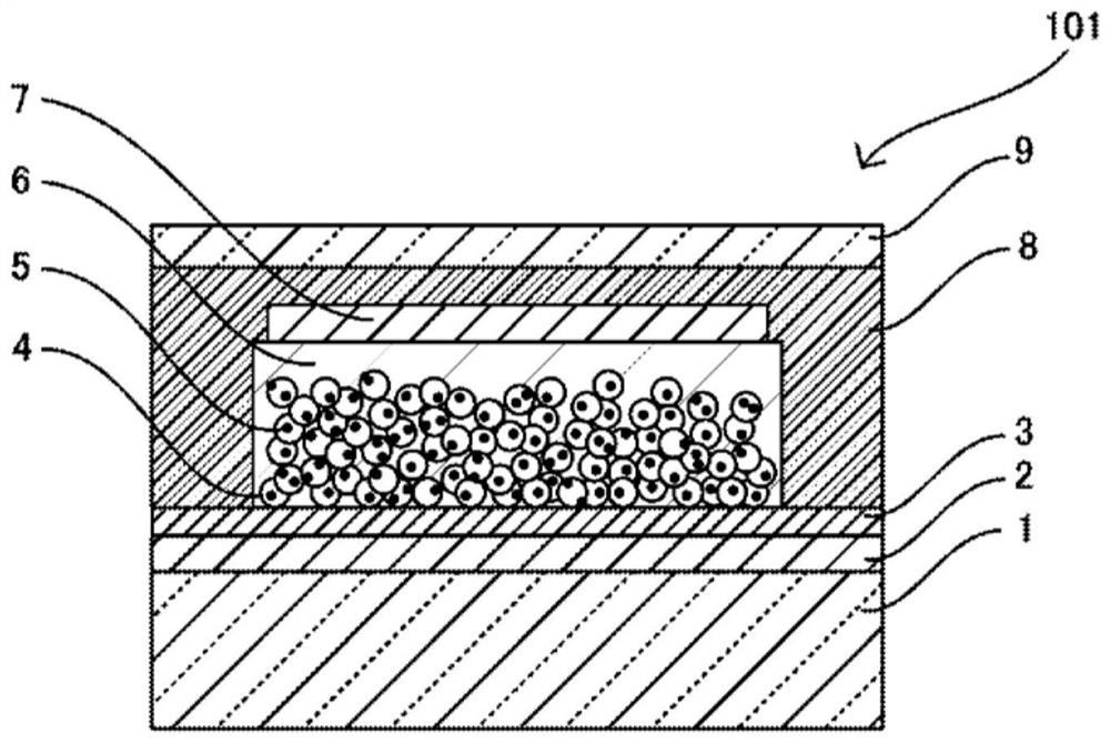 Solar cell module