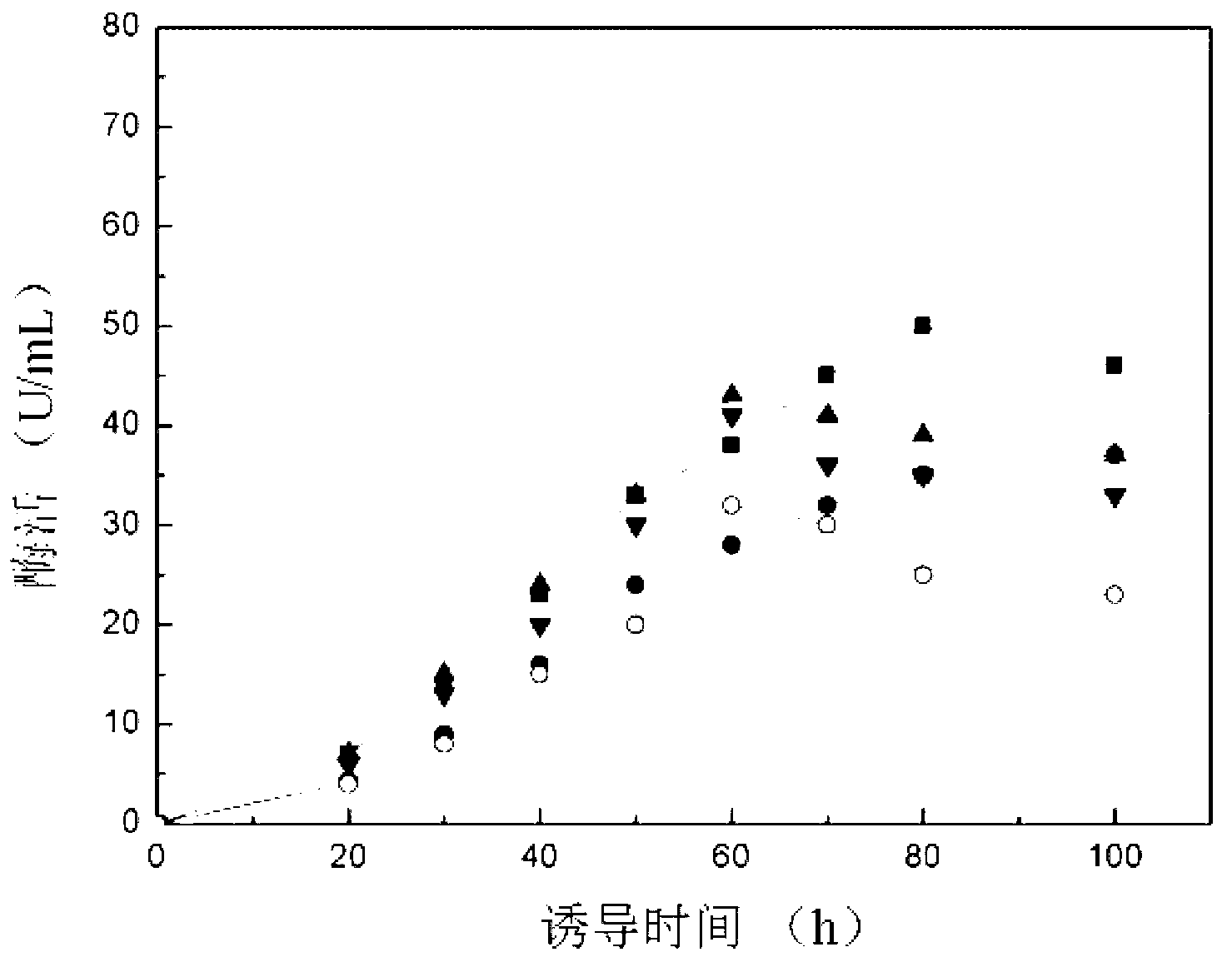 Genetically engineered bacterium for producing glucose oxidase as well as construction and application thereof