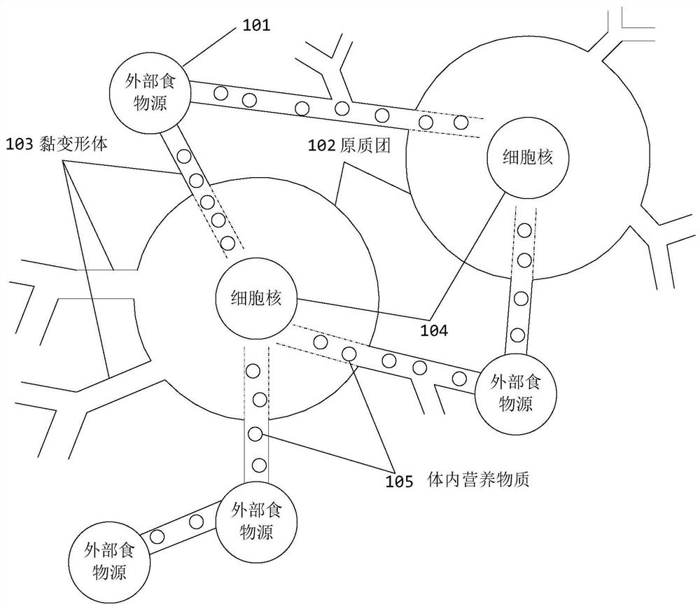 A traffic network node selection method based on slime mold swarm intelligence