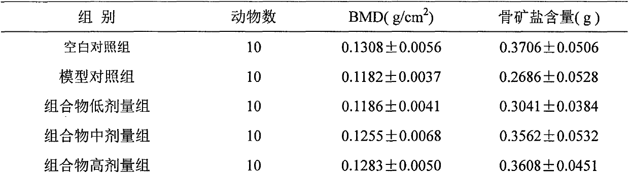 Radix millettiae speciosae traditional Chinese medicine composition with kidney-tonifying and bone-reinforcing function and preparation method thereof