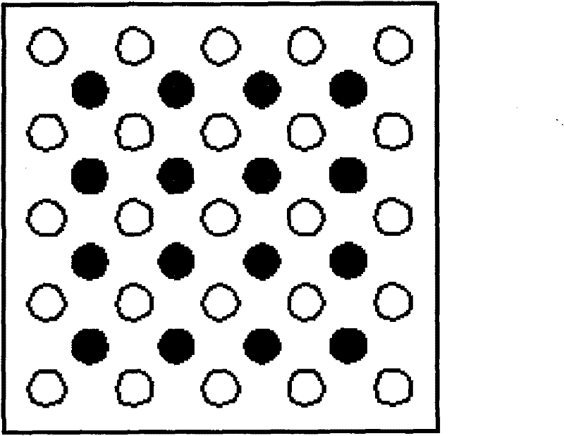 Composite reinforcing method for combining soft foundation light well point pipe with plastic drainage plate