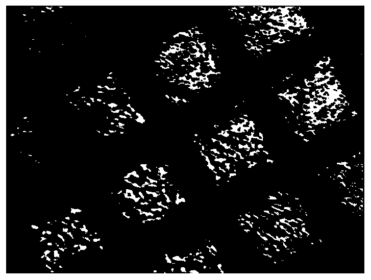 Chemical deposition preparation method of piezoelectric composite metal electrode