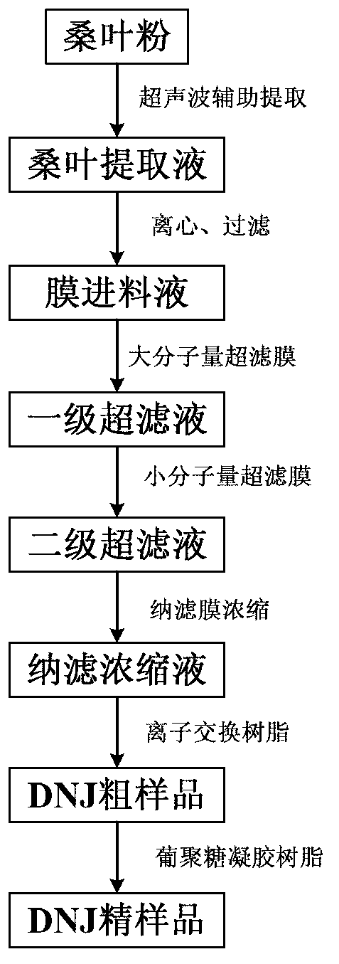 Method for preparing high-purity 1-deoxynojirimycin with combined membrane separation and column chromatography technology