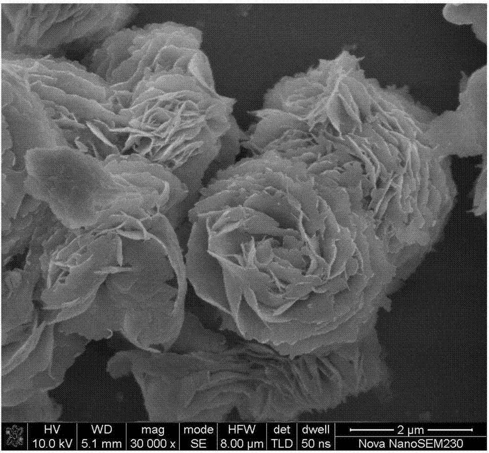 Preparation method of metastable phase bismuth oxide and application thereof in photocatalytic degradation of organic pollutants