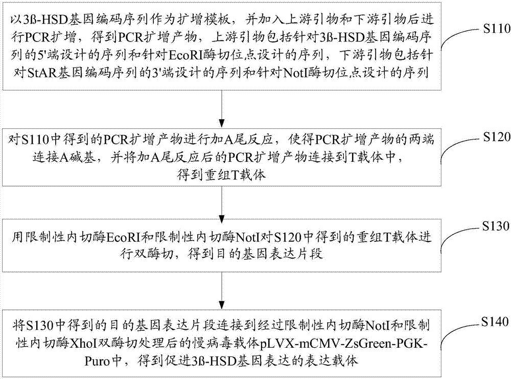 Expression vector for enhancing gene expression of 3 beta-HSD, construction method and application thereof