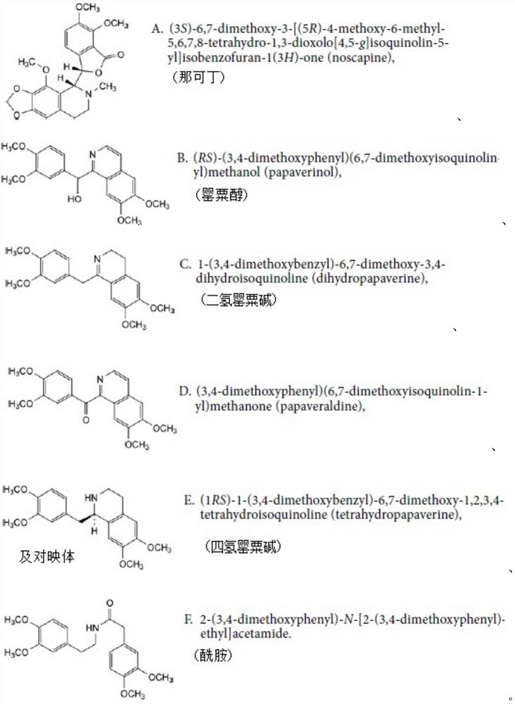 Papaverine hydrochloride powder injection for injection and quality detection method thereof