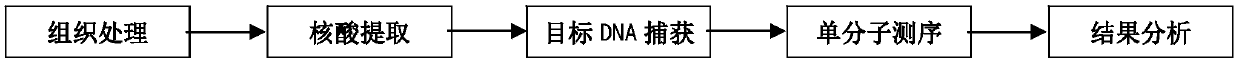 Simple, efficient and real-time transgenic product detecting method and application thereof