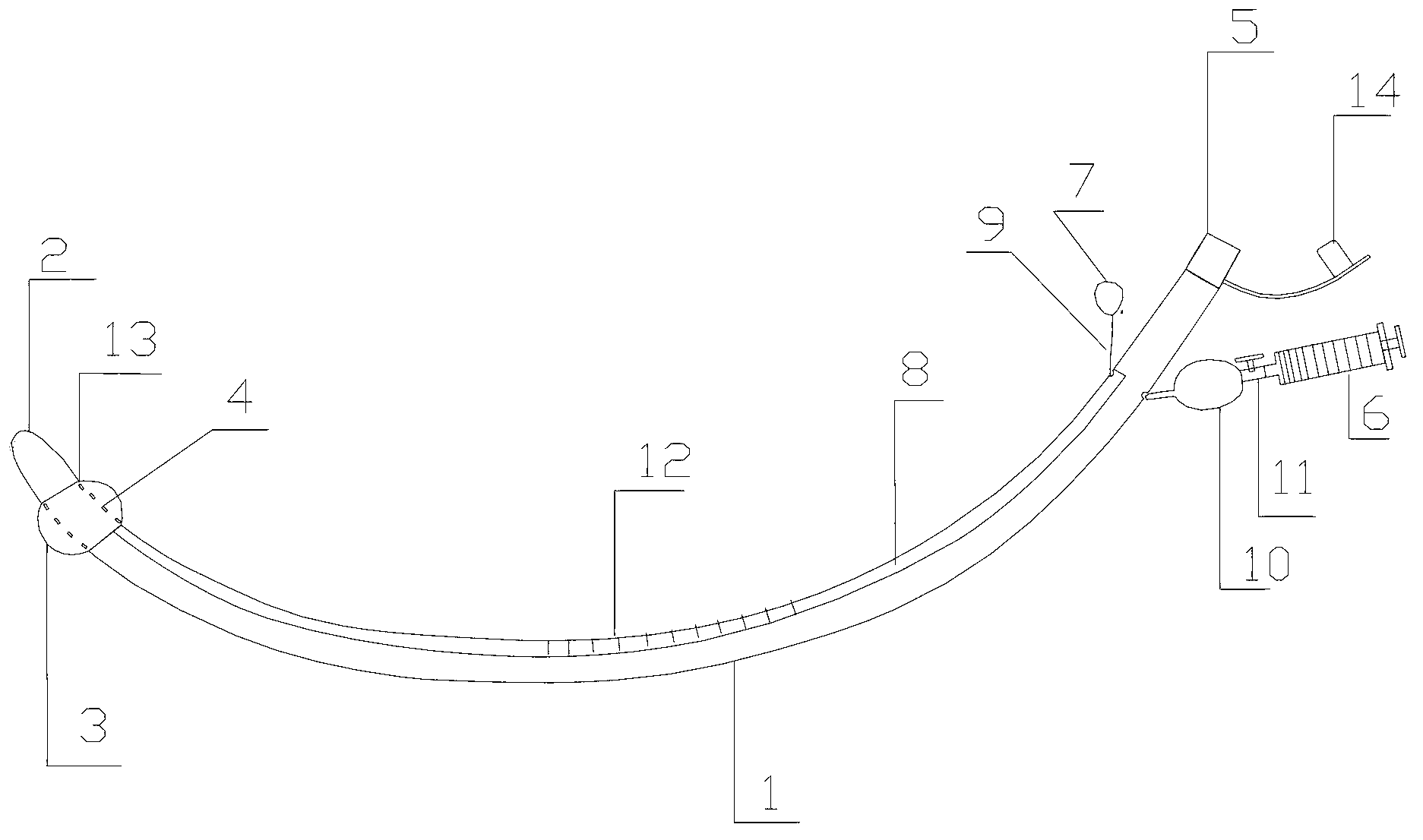 Auxiliary catheter for endotracheal intubation