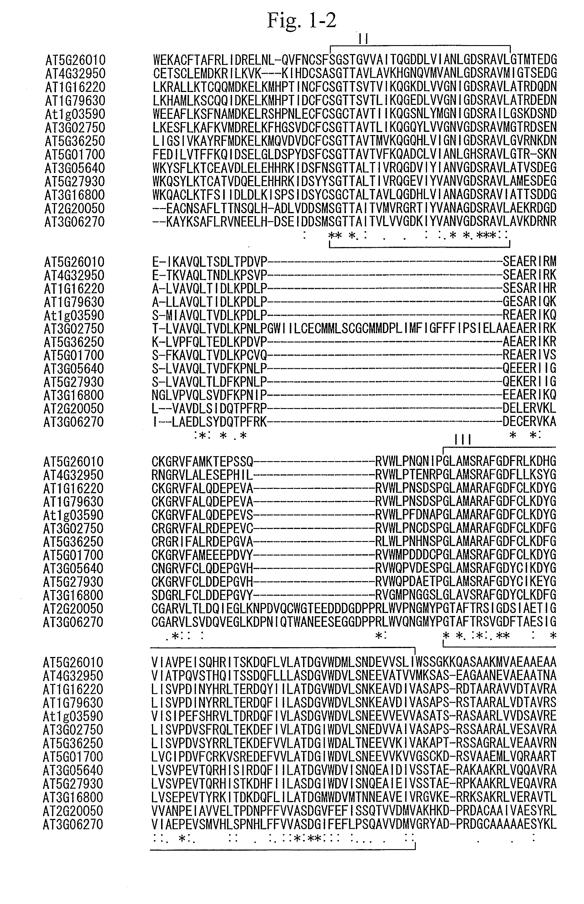 Gene for increasing the production of plant biomass and/or seeds and method for use thereof