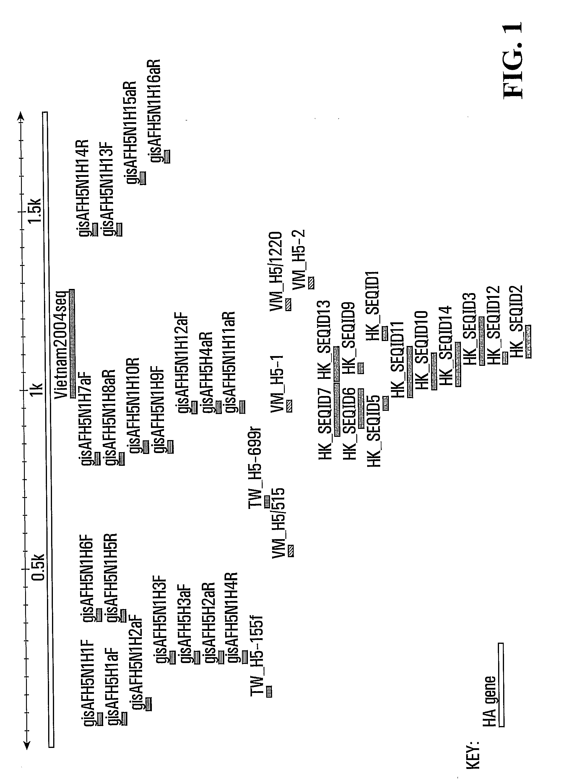 Diagnostic Primers And Method For Detecting Avian Influenza Virus Subtype H5 And H5N1