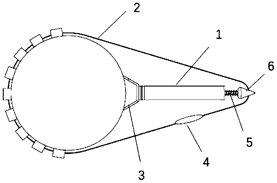 Tree radial growth distributed network online observation system