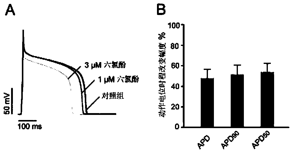 Application of hexachlorophene in preparation of voltage-gated potassium channel agonist