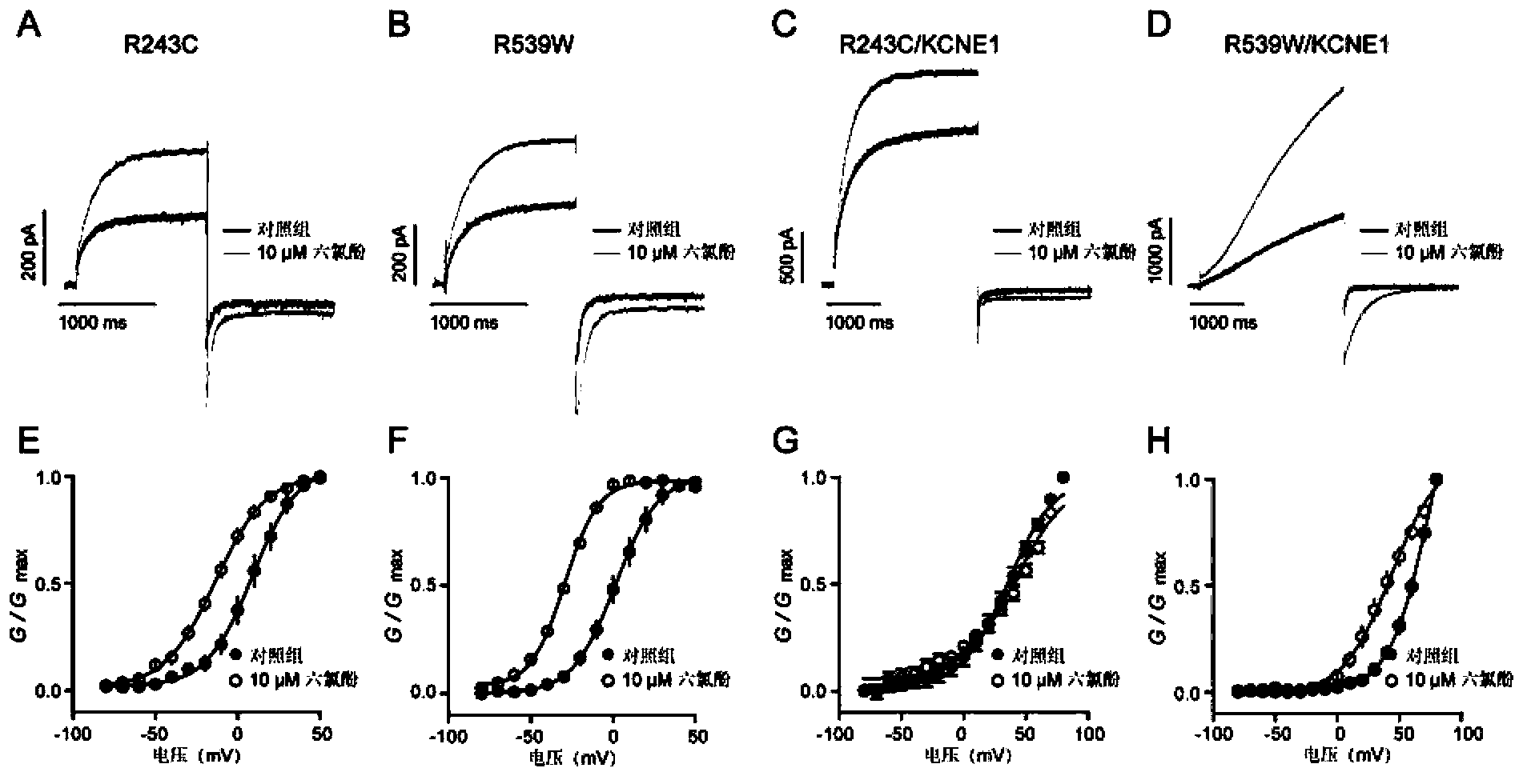 Application of hexachlorophene in preparation of voltage-gated potassium channel agonist