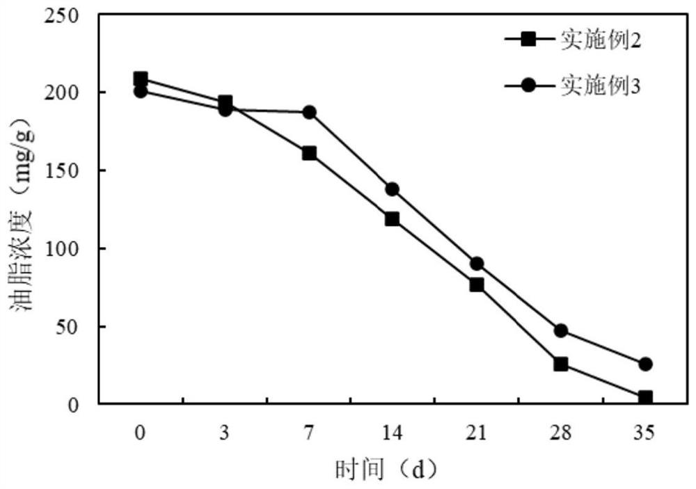 Method for strengthening aerobic fermentation of kitchen waste by using oil-removing microbial preparation