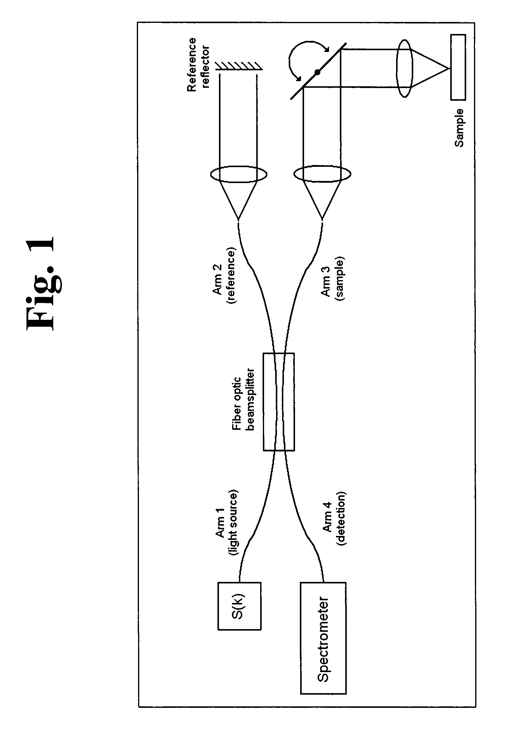 Dynamic motion contrast and transverse flow estimation using optical coherence tomography