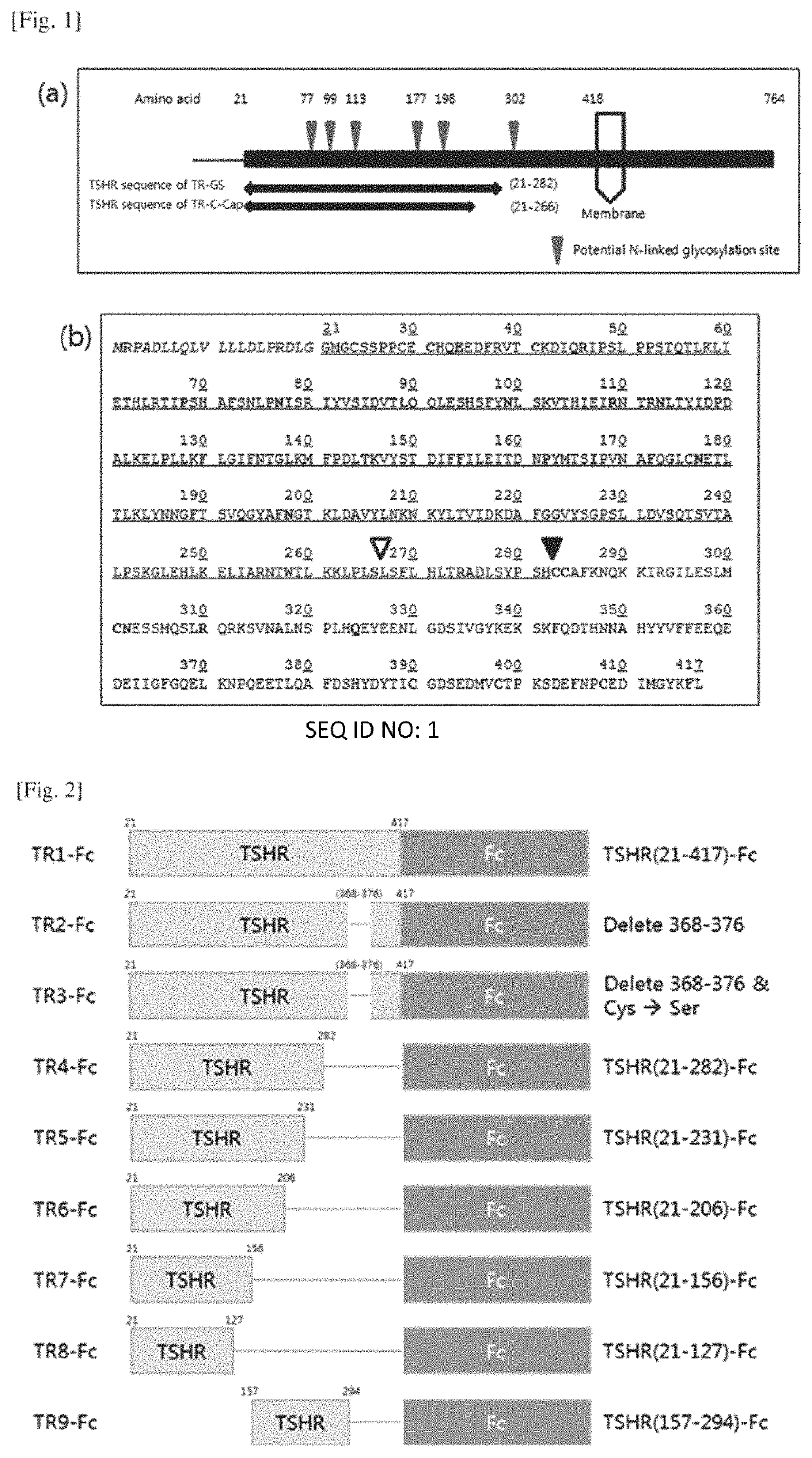 Fusion protein comprising thyrotropin receptor variants and use thereof