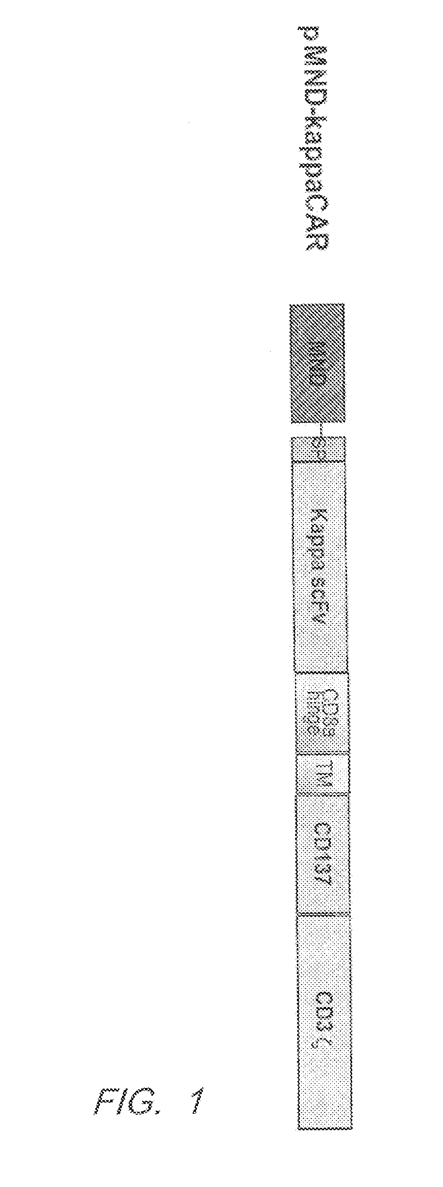 Kappa/lambda chimeric antigen receptors