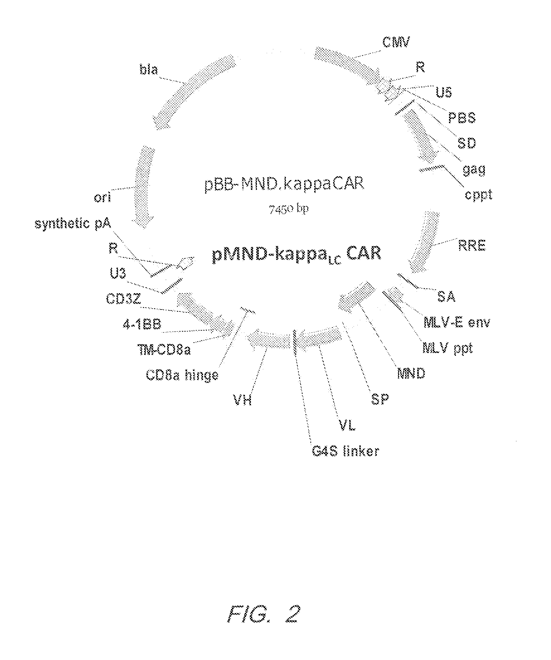 Kappa/lambda chimeric antigen receptors