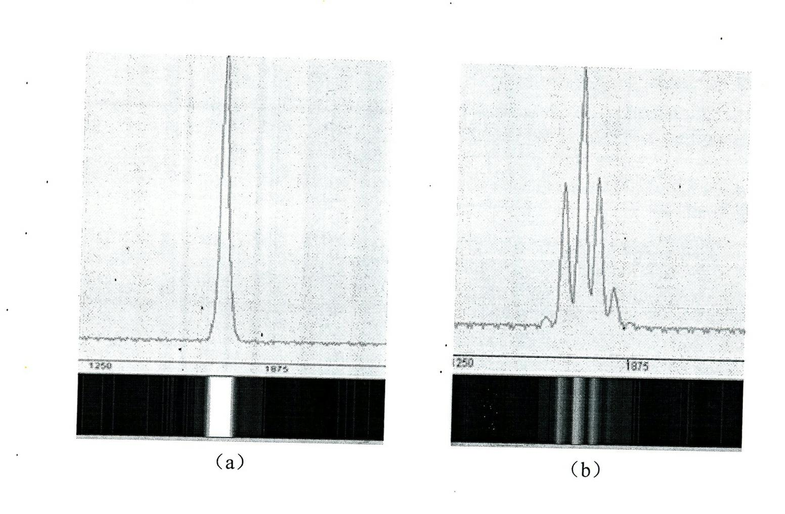 Liquid density on-line monitoring system based on ultrasonic diffraction grating