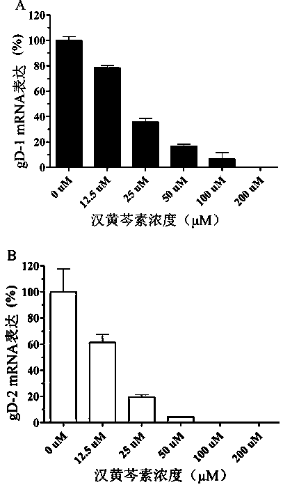 Application of wogonin in preparing medicine for resisting herpes simplex virus