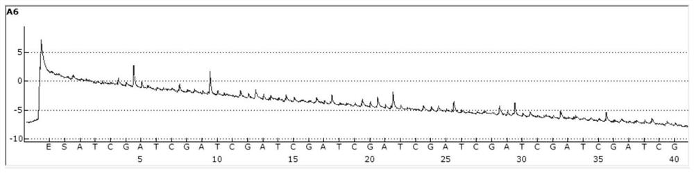 Kit for detecting and identifying mycobacteria and detection method thereof