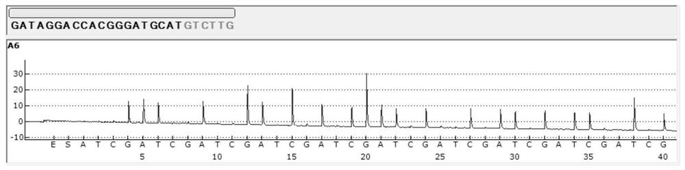 Kit for detecting and identifying mycobacteria and detection method thereof