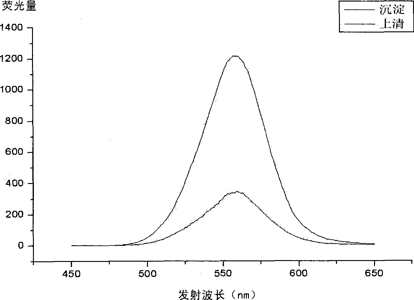 Brucella abortus fluorescent quantum point coupling antibody detection method