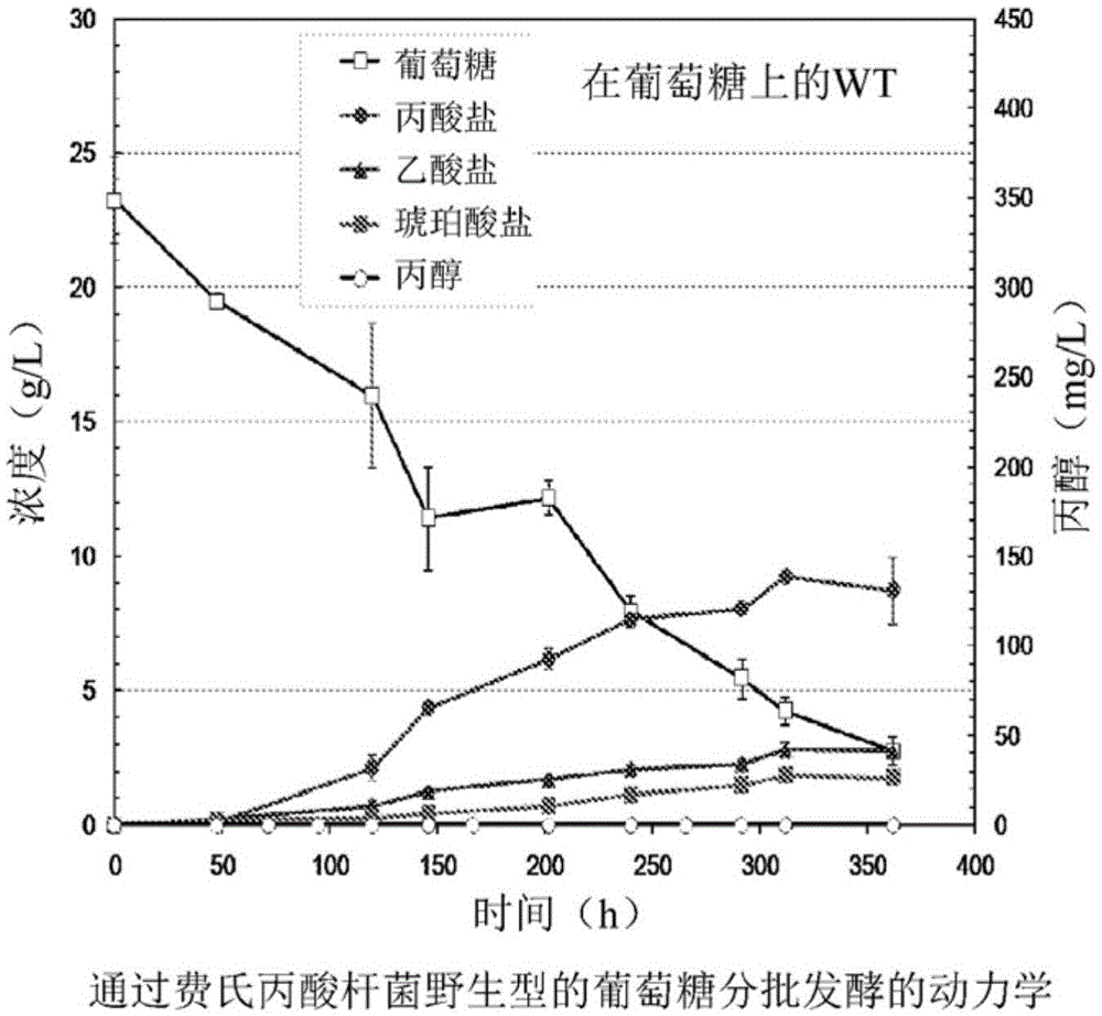 Process for producing n-propanol and propionic acid using metabolically engineered propionibacteria