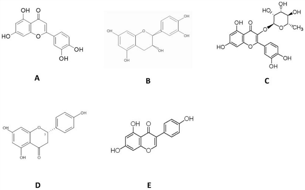 Application of flavonoid compound in induction of muscle-derived cell in-vitro efficient differentiation