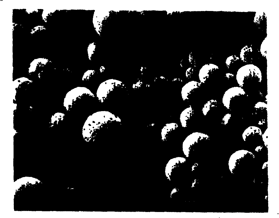 An even low-shearing self-absorbing emulsion droplet preparation device