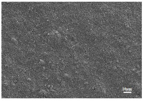 Preparation method of special carbon black water-phase dispersion liquid for fruit cultivating bag paper