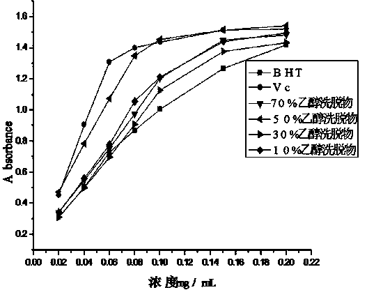 Antioxidant active extract of snow chrysanthemum and preparation method thereof